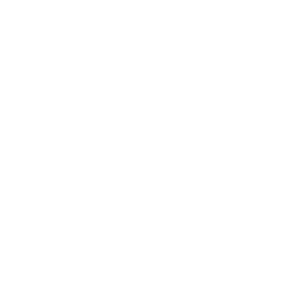 investment and asset management icon