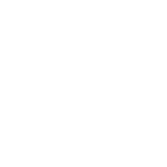 lease advisory icon