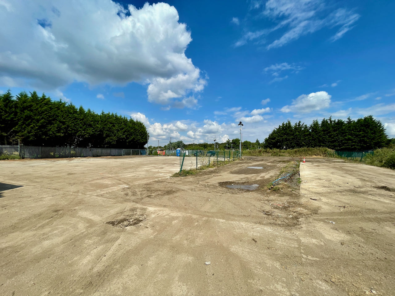 Cow-Close-Biggleswade-1