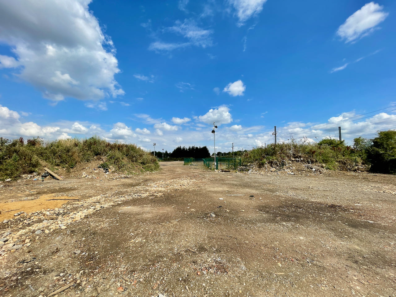 Cow-Close-Biggleswade-2