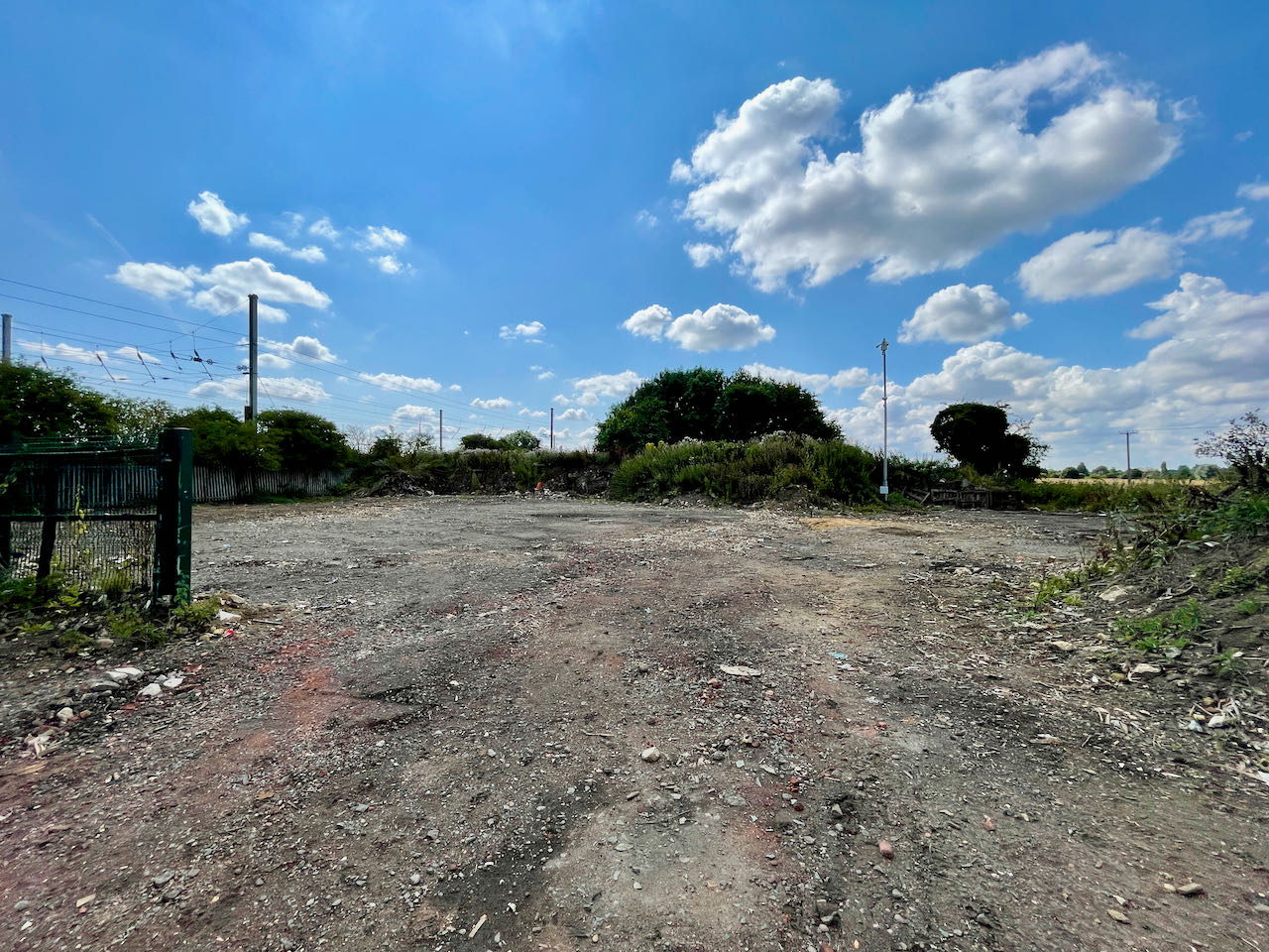 Cow-Close-Biggleswade-3