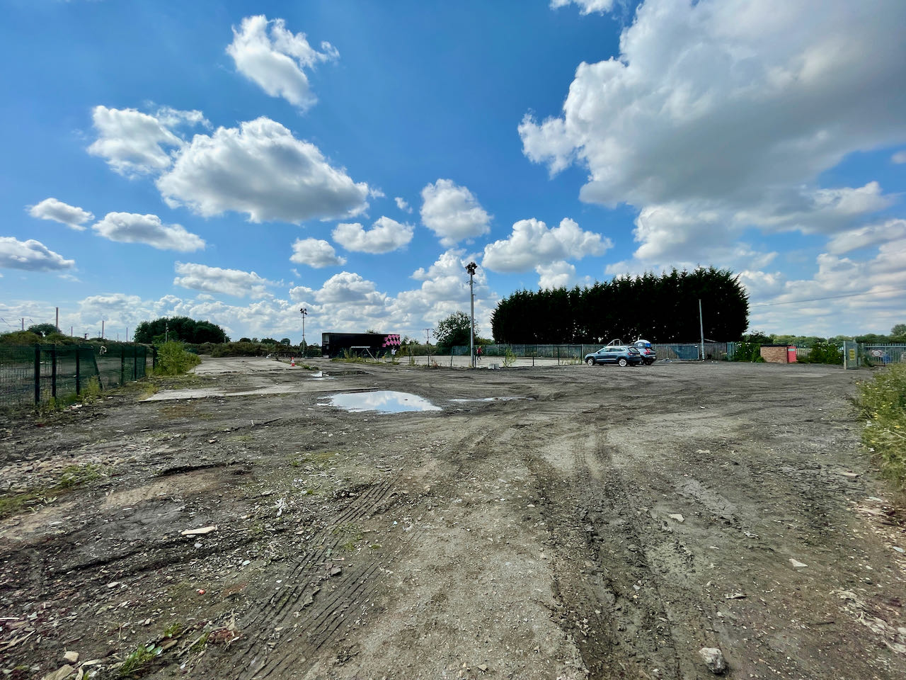 Cow-Close-Biggleswade-4